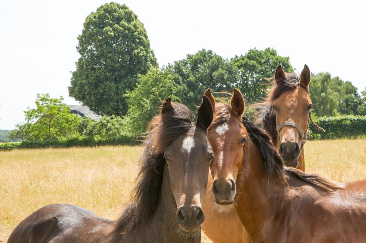 B&B De Nieuwenhof 'De Voorkamer' Melderslo 외부 사진
