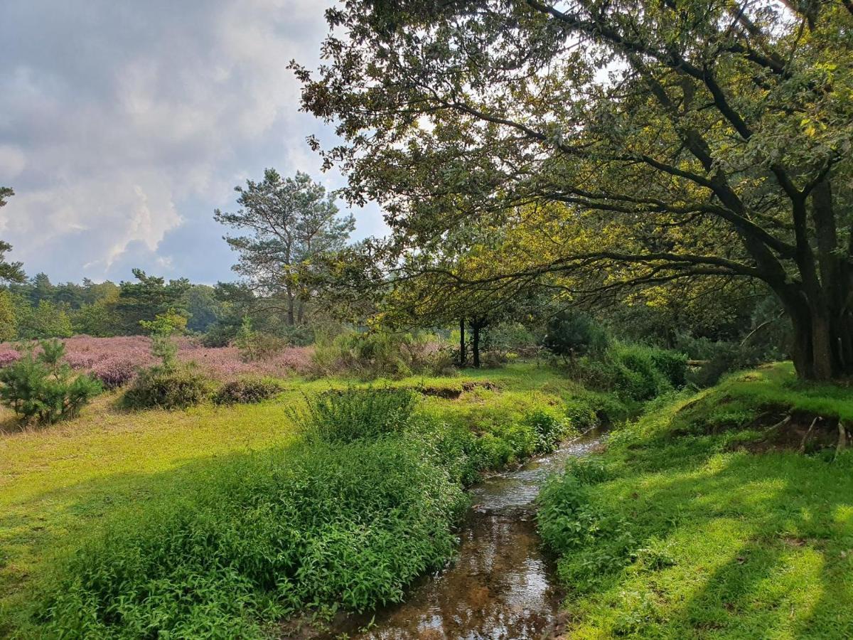 B&B De Nieuwenhof 'De Voorkamer' Melderslo 외부 사진
